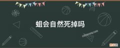 蛆会自然死掉吗 蛆会自己死掉吗