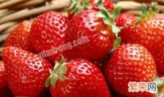草莓的习性 草莓的特征