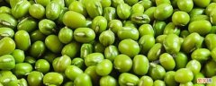 毛绿豆和明绿豆营养价值一样吗 明绿豆和毛绿豆有什么区别