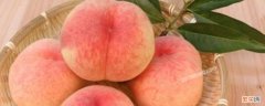 桃子里有蛆是什么原因 桃子里面有蛆虫是怎么回事