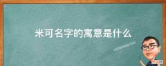 米可名字的寓意是什么 米可名字的由来