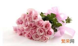 粉色玫瑰花语是什么意思19朵 粉色玫瑰花语是什么