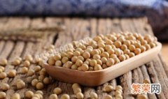 黄豆功效作用及禁忌分别是什么 黄豆的功效与禁忌食用方法