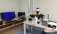 如何利用荧光显微镜检测细胞凋亡 如何利用荧光显微镜检测细胞凋亡的操作方法