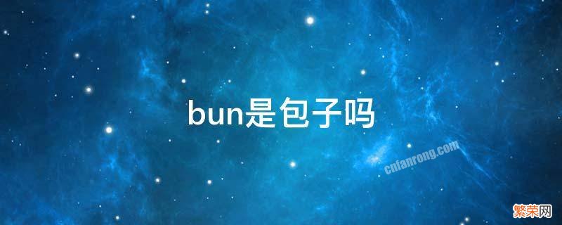 bun是包子吗可数名词 bun是包子吗