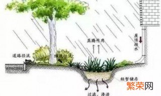 植被截流什么意思 植被截流量是什么意思