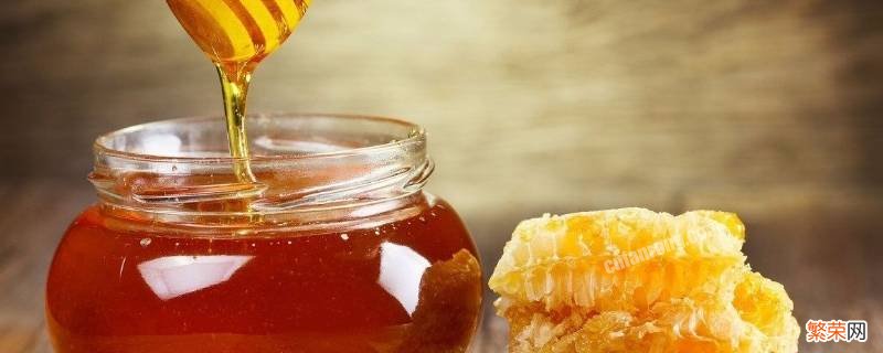 野生蜜蜂几月份可以取蜜 野生蜂蜜什么时候才能采蜜