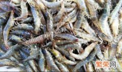 冻基围虾怎么做好吃又简单 冻基围虾怎么做好吃又简单的做法