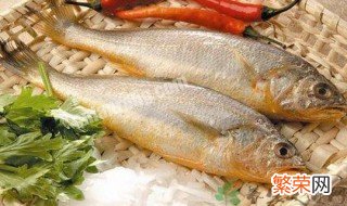黄鱼的营养价值及功效与作用禁忌 黄鱼的营养价值及功效与作用