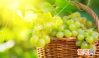 葡萄的营养价值及功效与作用和禁忌 葡萄的营养价值及功效与作用