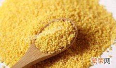 小米的营养价值及功效与作用 小米的营养价值及功效与作用和禁忌