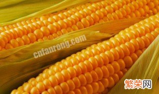 粘玉米的营养价值和功效 粘玉米的营养价值及功效与作用