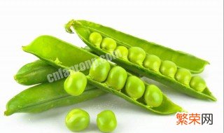 白豌豆营养价值及功效与作用 白豌豆营养价值及功效与作用禁忌