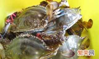 海螃蟹的营养价值及功效与作用图片 海螃蟹的营养价值及功效与作用