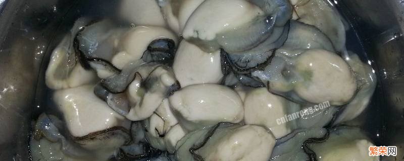 海蛎子怎么吃最好 海蛎怎么吃好吃