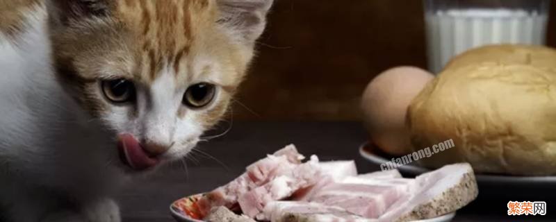 猫猫生骨肉怎么做 生骨肉怎么做