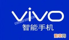 vivox20可以单独换外屏吗 vivox21a能单独换外屏吗