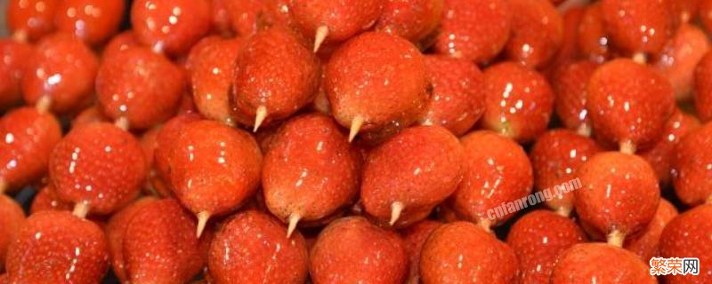 草莓冰糖葫芦的制作方法 草莓冰糖葫芦制作方法