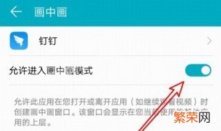 vivo手机画中画怎么弄的 vivo手机怎么在钉钉上画中画