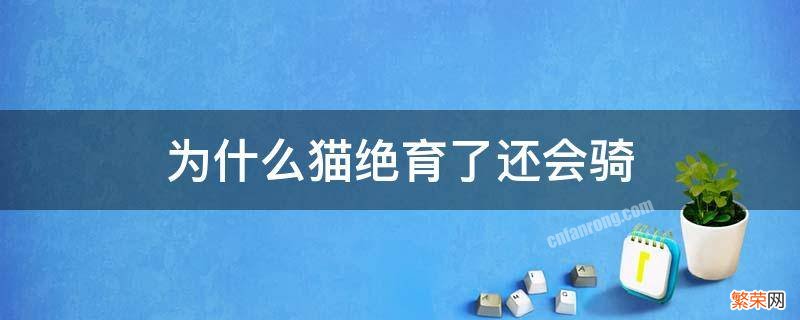 为什么猫绝育了还会骑毛绒玩具 为什么猫绝育了还会骑