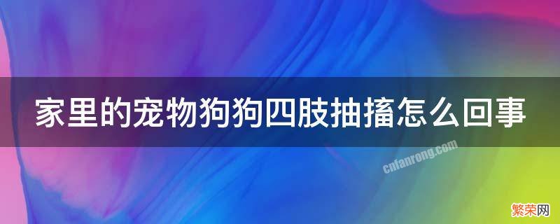 家里的宠物狗狗四肢抽搐怎么回事 家里的狗浑身抽搐怎么办?