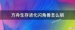 方舟闪角兽怎么训 方舟生存进化闪角兽怎么驯