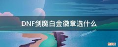 dnf100级剑魔白金徽章选什么 DNF剑魔白金徽章选什么