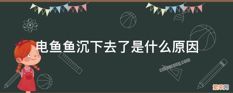 电鱼往下沉什么情况 电鱼鱼沉下去了是什么原因