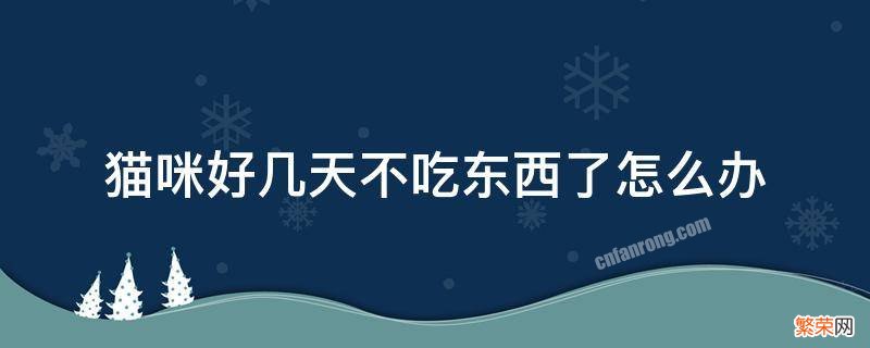 猫咪好几天不吃东西了怎么办 家里的猫几天不吃东西怎么办