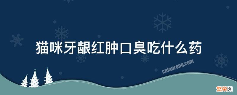 猫咪牙龈红肿口臭吃什么药 猫牙龈红肿还有口臭用什么药