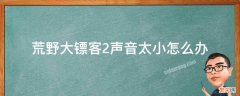 荒野大镖客2声音太小怎么办 荒野大镖客2 声音太小