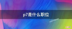 p7是什么职位什么专业 p7是什么职位