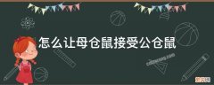 怎么让母仓鼠接受公仓鼠 母仓鼠不让公仓鼠上怎么办?