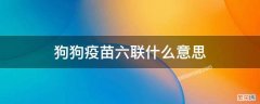 狗疫苗四联六联有什么区别 狗狗疫苗六联什么意思