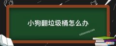 狗翻垃圾桶应该怎把它处理掉 小狗翻垃圾桶怎么办