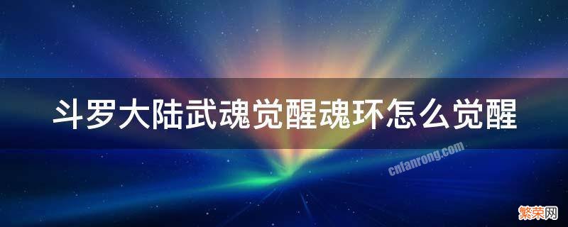 斗罗大陆武魂觉醒魂环怎么觉醒的 斗罗大陆武魂觉醒魂环怎么觉醒