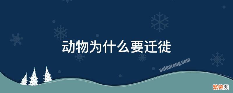 动物为什么要冬眠 动物为什么要迁徙