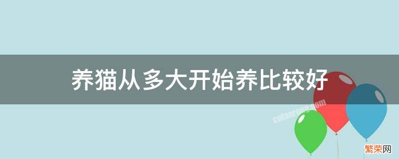 养猫多大的时候养最好 养猫从多大开始养比较好