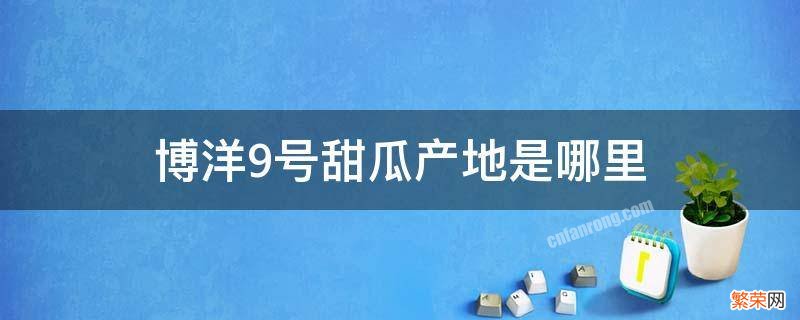 博洋八号甜瓜是什么地方生产的 博洋9号甜瓜产地是哪里