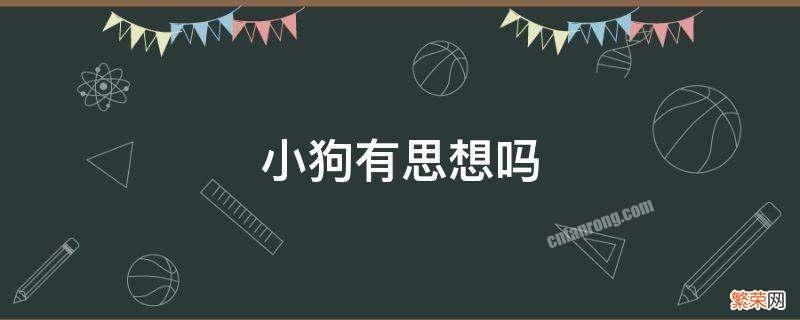 狗狗有思想和感情吗 小狗有思想吗