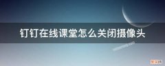 钉钉在线课堂怎么关闭摄像头 电脑钉钉在线课堂怎么关闭摄像头