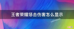 王者荣耀惩戒伤害怎么显示出来 王者荣耀惩击伤害怎么显示