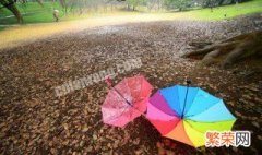 降雨是冷空气还是暖空气好 降雨是冷空气还是暖空气