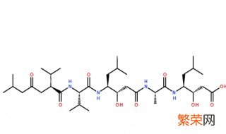 有关胃蛋白酶的叙述正确的是 有关胃蛋白酶的叙述正确的是什么