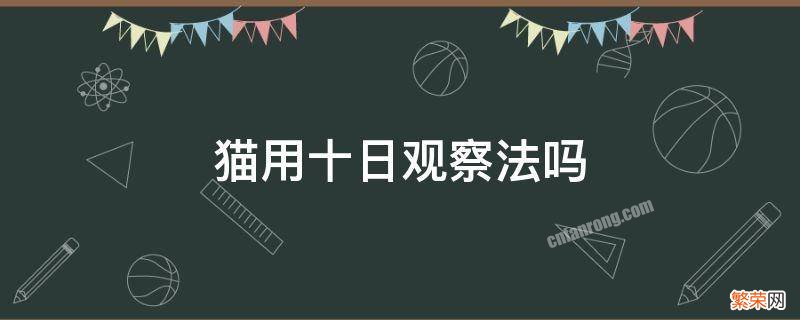 猫用十日观察法吗 观察法有用吗