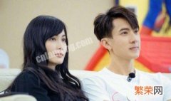 吴尊和他老婆参加了什么节目 吴尊和老婆参加的真人秀节目