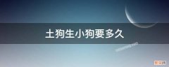 土狗生小狗要多久 土狗多久生一次小狗