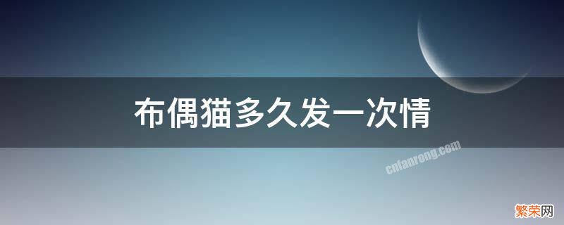 布偶猫多久发一次情,每次持续几天 布偶猫多久发一次情