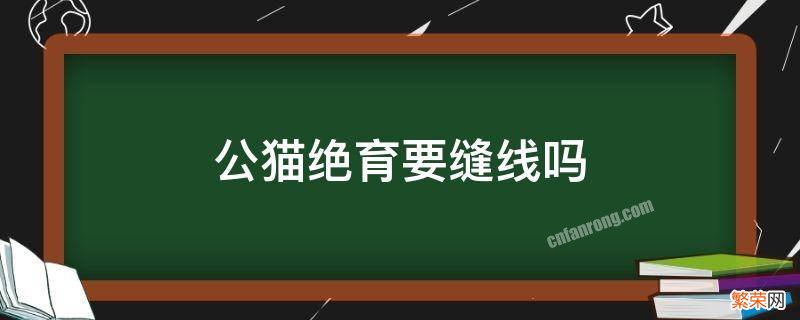 公猫绝育要缝线吗 公猫绝育要不要缝针