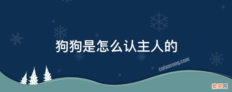 狗狗是怎么认主人的 狗狗是怎样认主人的